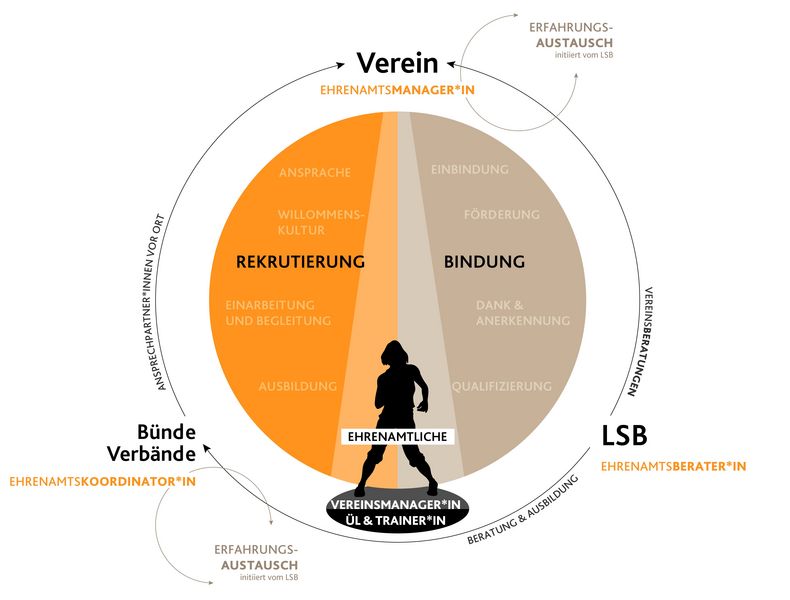 Grafik Systematisches Ehrenamtsmanagement