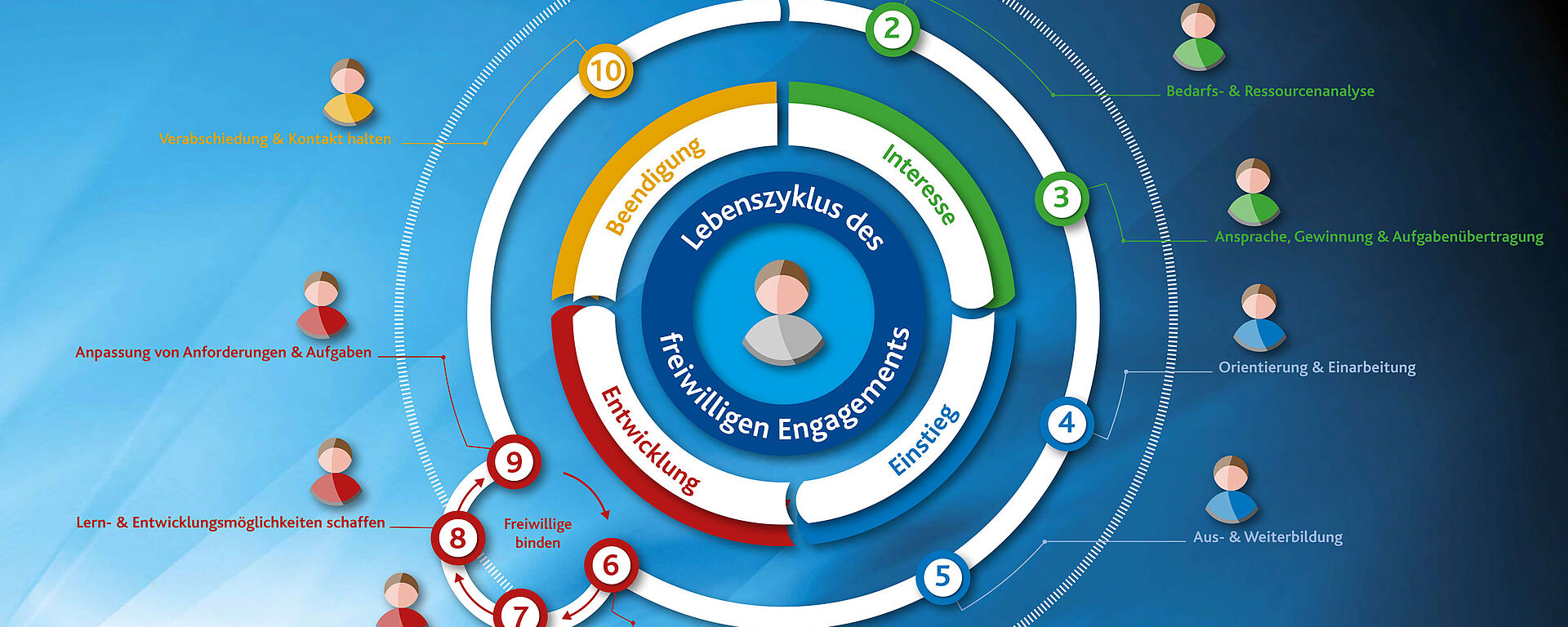 Detaillierte Grafik vom Lebenszyklus