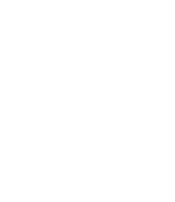   Ich war sehr früh up to date    Theo Holzmann