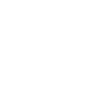   Das ist mein Leben, damit bin ich geboren    Marlene Johanne Strenger