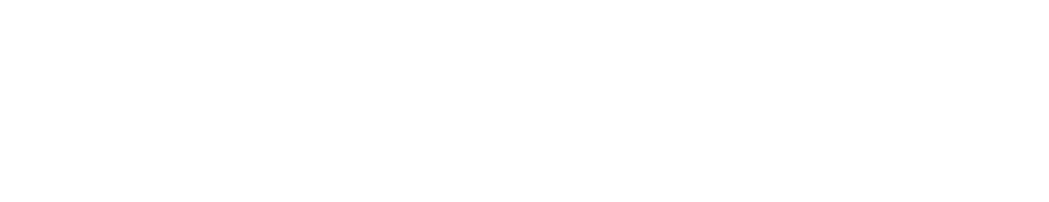 Das Gedächtnis eines Vereins